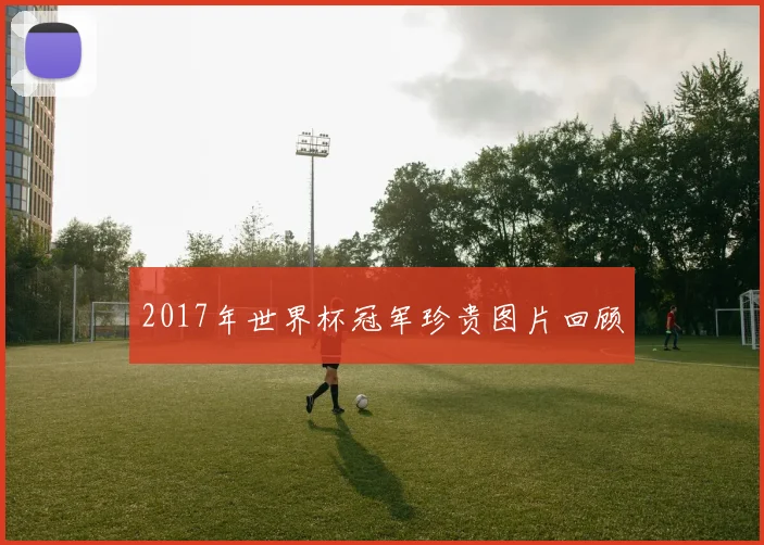 2017年世界杯冠军珍贵图片回顾