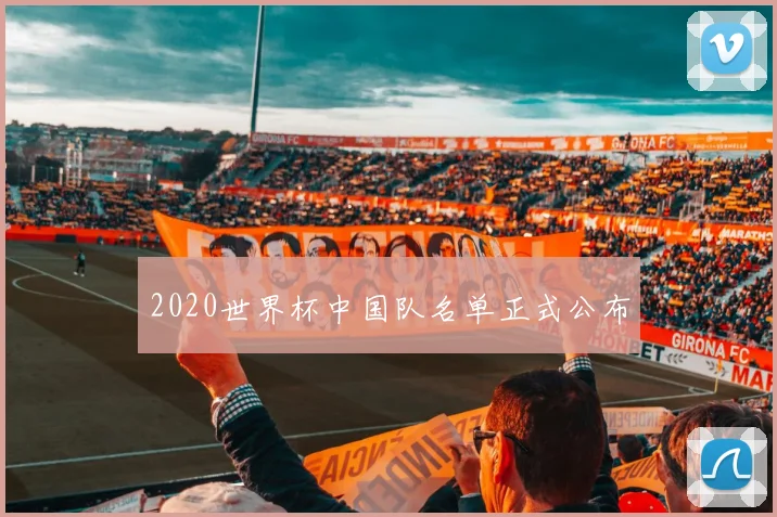 2020世界杯中国队名单正式公布