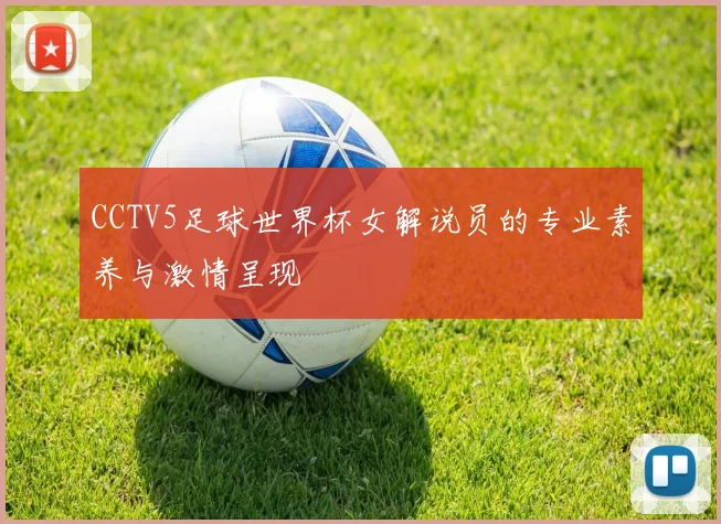 CCTV5足球世界杯女解说员的专业素养与激情呈现