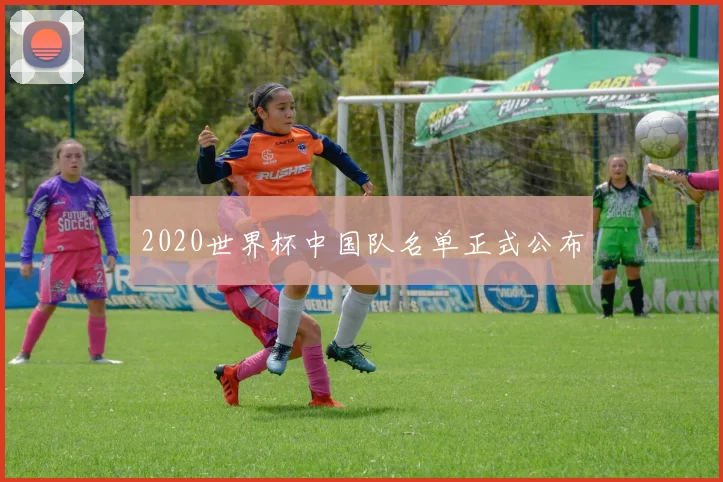 2020世界杯中国队名单正式公布