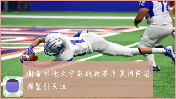 谢菲尔德大学备战新赛季集训阵容调整引关注