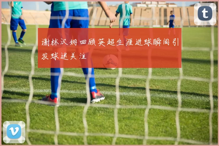 谢林汉姆回顾英超生涯进球瞬间引发球迷关注