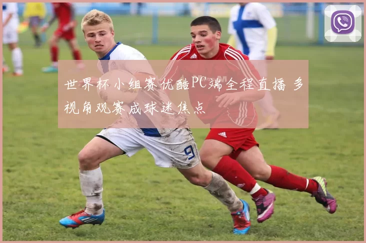 世界杯小组赛优酷PC端全程直播 多视角观赛成球迷焦点