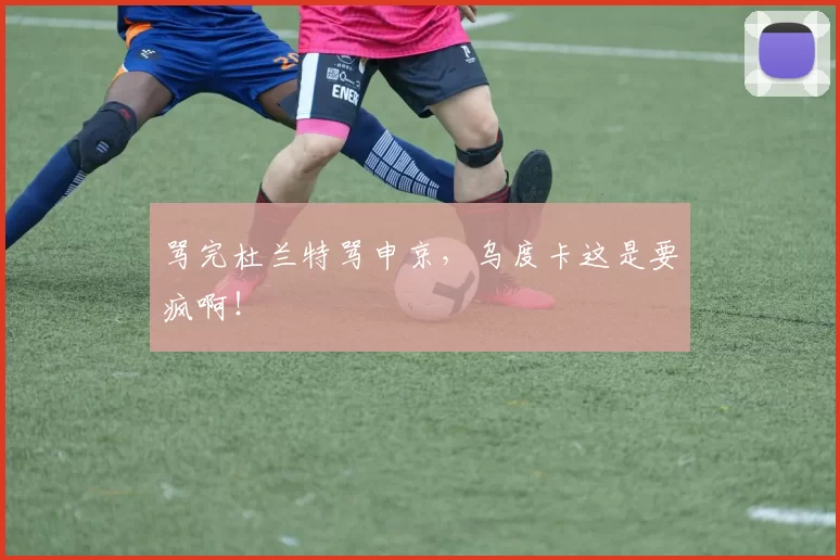 骂完杜兰特骂申京,乌度卡这是要疯啊!