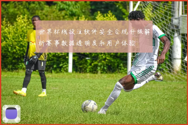 世界杯线投注软件安全合规升级解析赛事数据透明度和用户体验