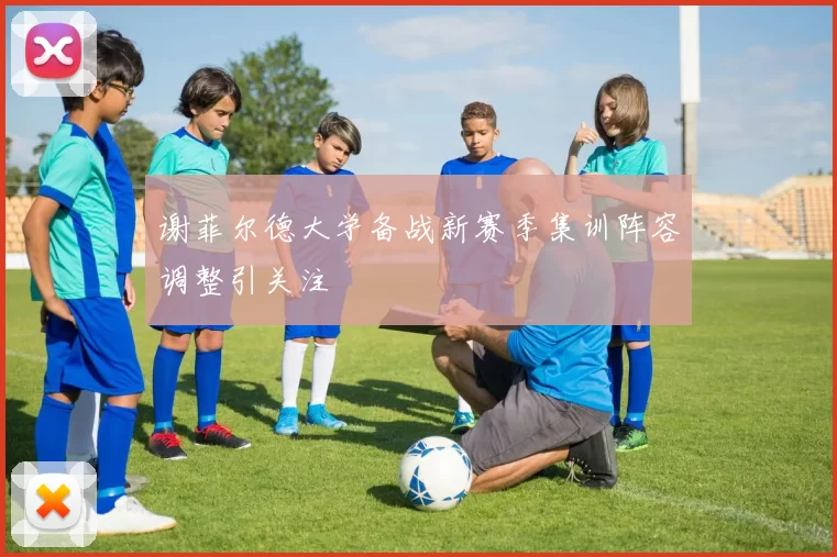 谢菲尔德大学备战新赛季集训阵容调整引关注